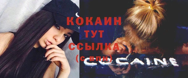 индика Нефтегорск