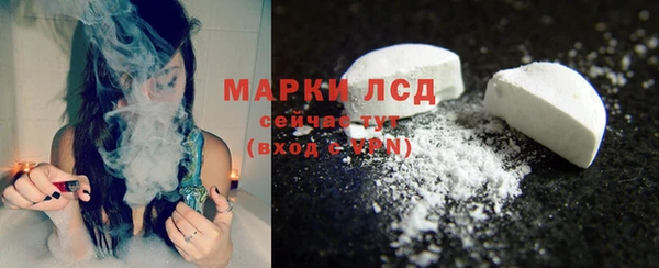 индика Нефтегорск