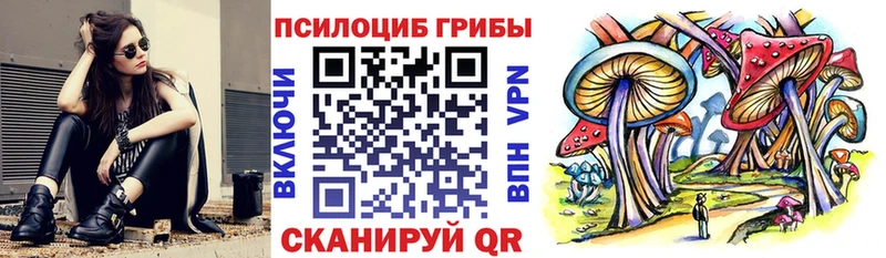 KRAKEN сайт  Орлов  Псилоцибиновые грибы MAGIC MUSHROOMS 